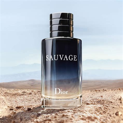 dior sauvage collection|dior sauvage types.